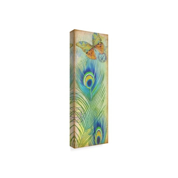 Jean Plout 'Peacock Feather' Canvas Art,16x47